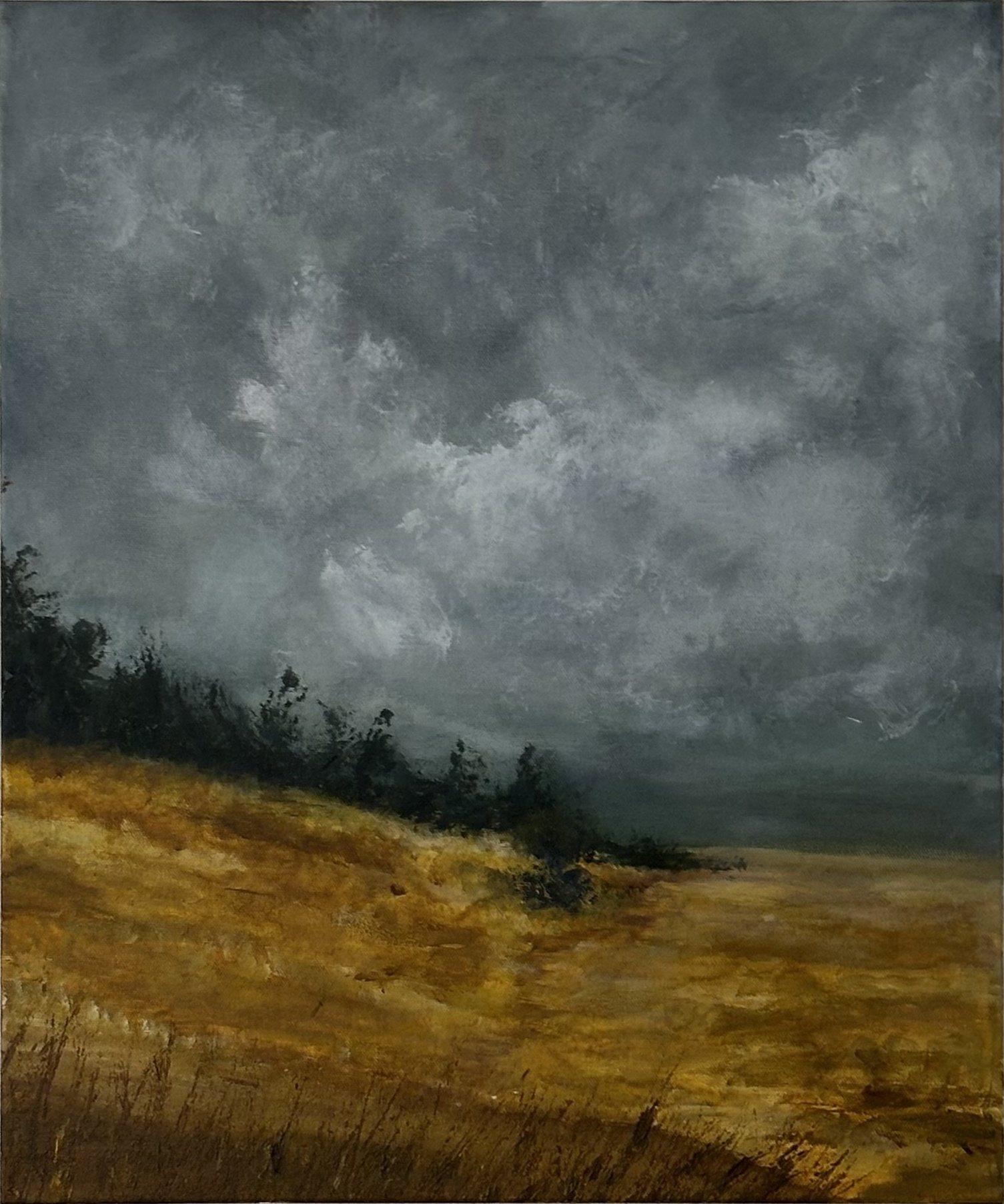 One Summer — a golden ochre field beneath a heavy storm sky