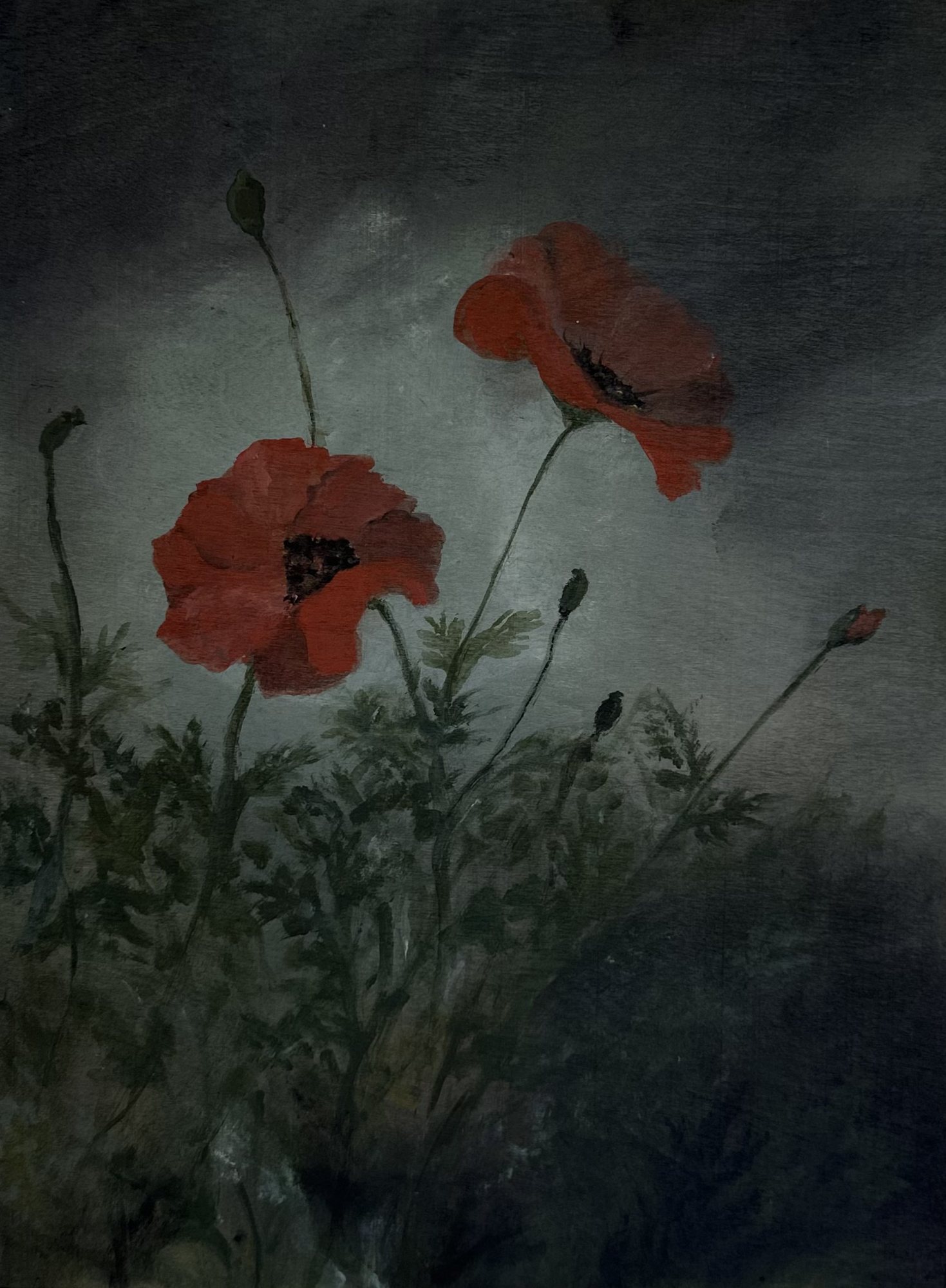 Poppies at Dusk — red poppies against a deep slate-green ground