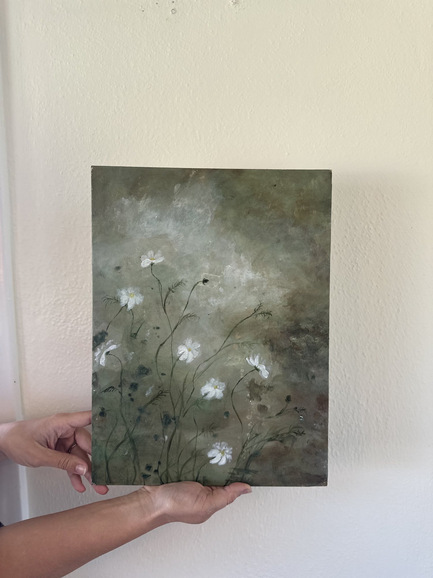 Cosmos — white cosmos scattered across a soft sage and olive ground, held against a pale wall